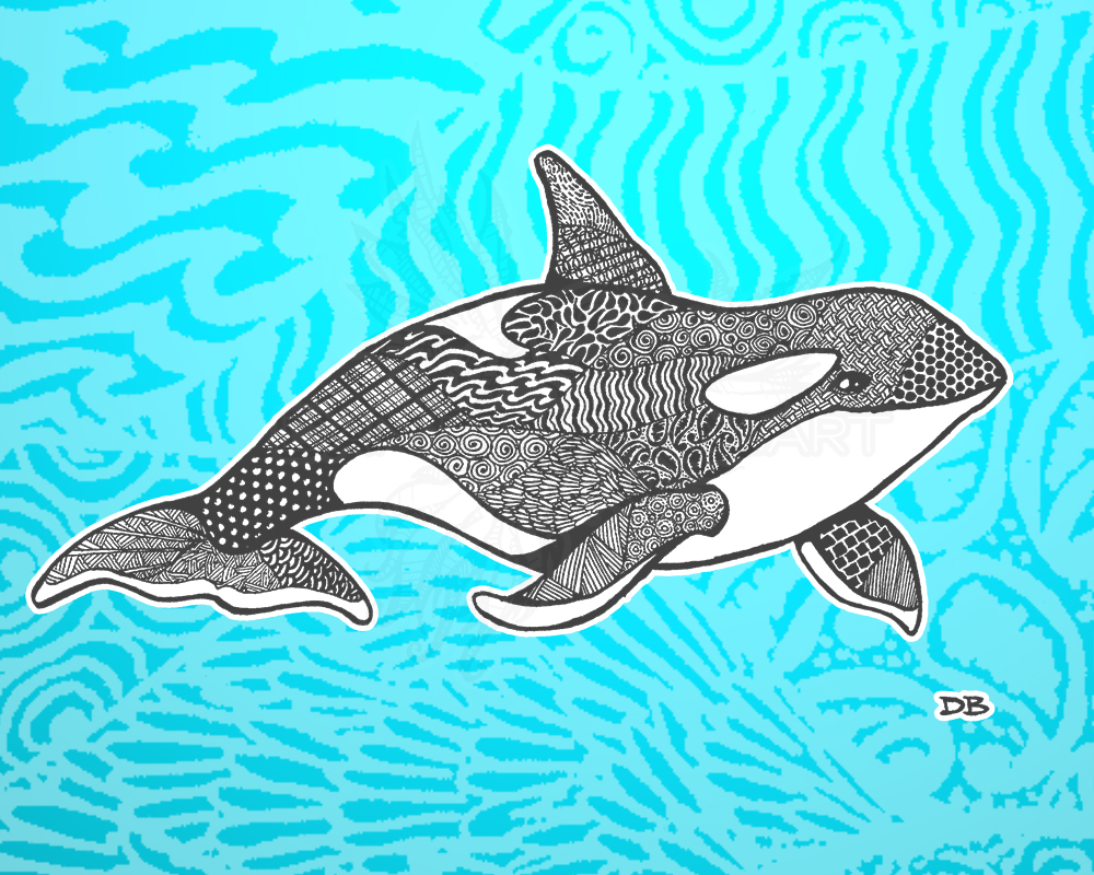 Zen Orca — DAN BINGHAM ART